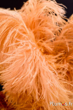 Autruche - 30-40 cm - cognac